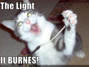 streamers Burnes