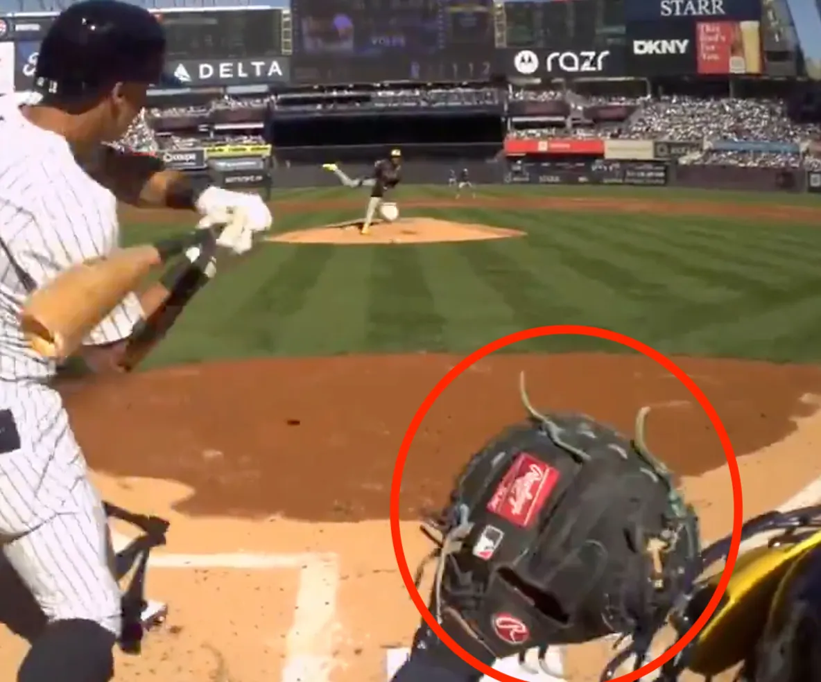 Umpire view right handed hitter