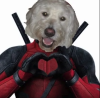 MarmosDad
