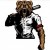 Baer
